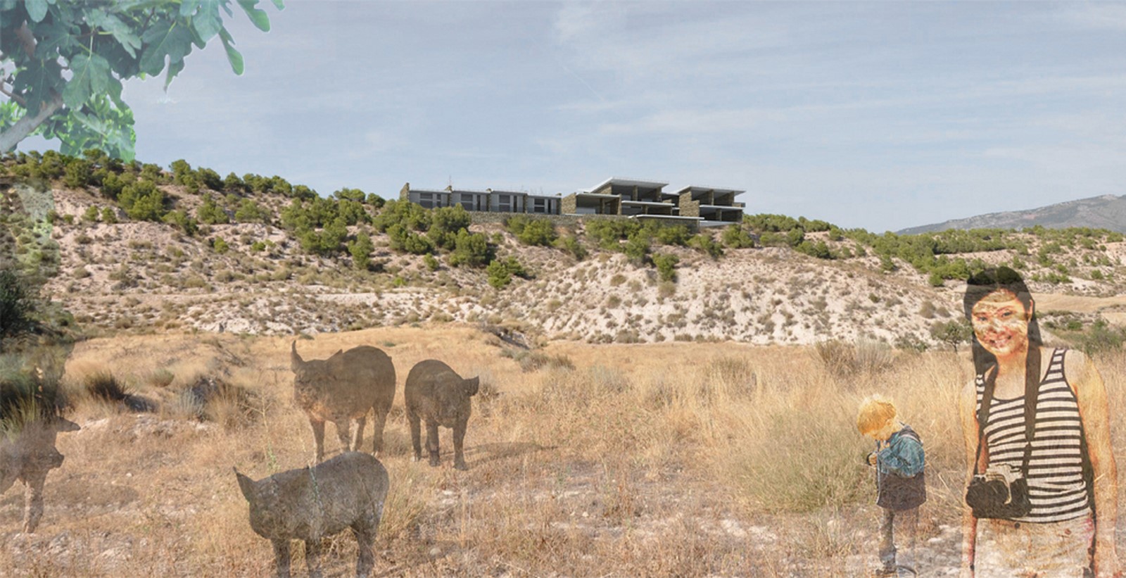 BREEDING AND INTERPRETATION CENTRE OF CHATO MURCIANO Image